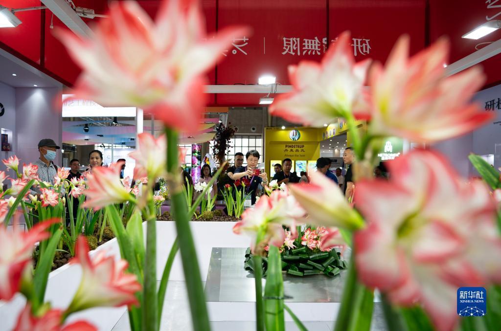 斗牛游戏大厅下载